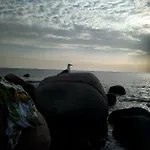 Al Mare, Al Sole, Si', Ma Nella Casa Del Minatore *
