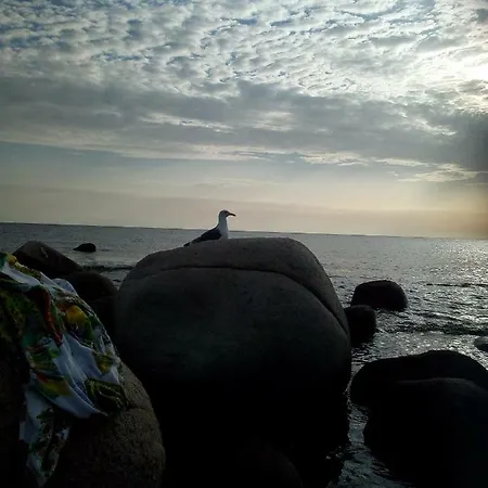 Al Mare, Al Sole, Si', Ma Nella Casa Del Minatore *